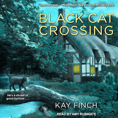 Black Cat Crossing