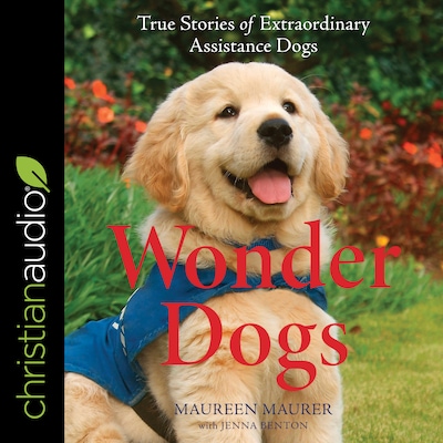 Wonder Dogs