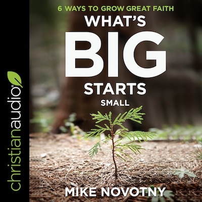 What's Big Starts Small