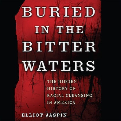 Buried in the Bitter Waters
