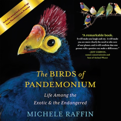 The Birds of Pandemonium