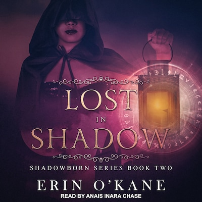 Lost in Shadow