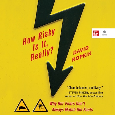How Risky Is It, Really?
