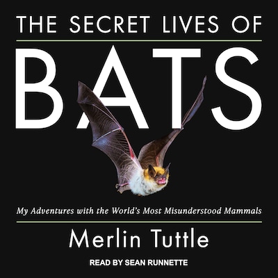 The Secret Lives of Bats