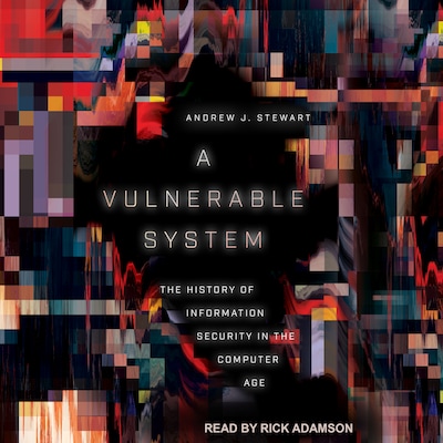 A Vulnerable System