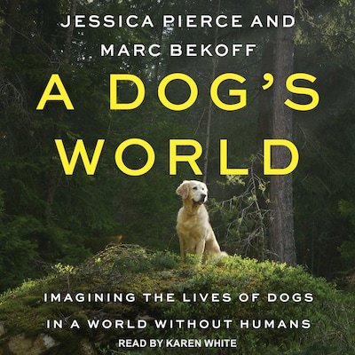 A Dog's World
