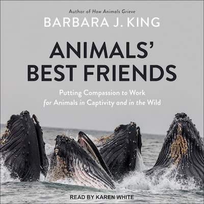 Animals' Best Friends
