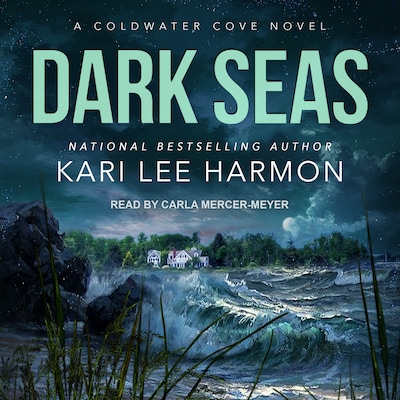 Dark Seas