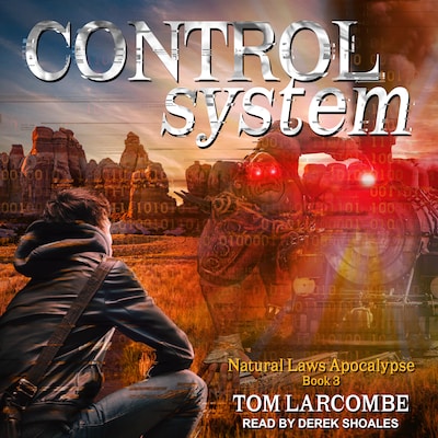 Control System