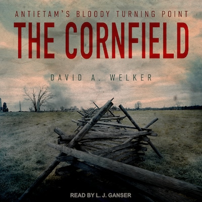 The Cornfield