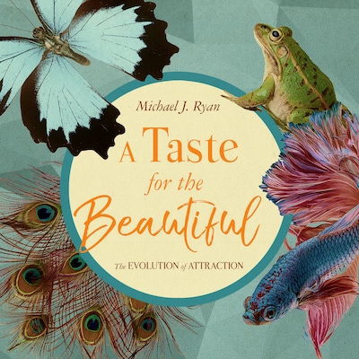 A Taste for the Beautiful