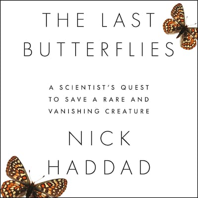 The Last Butterflies