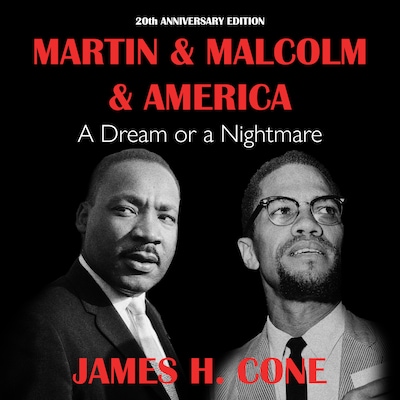 Martin & Malcolm & America