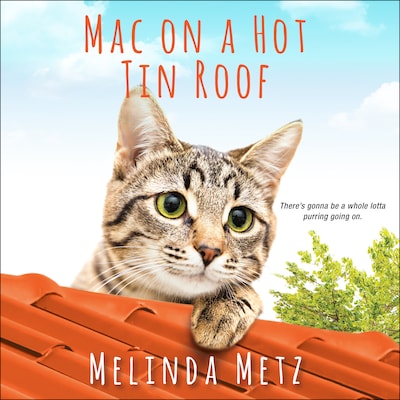 Mac on a Hot Tin Roof
