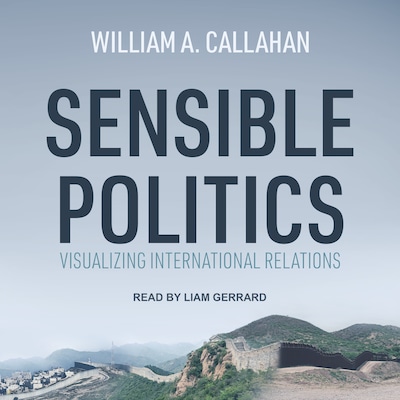 Sensible Politics