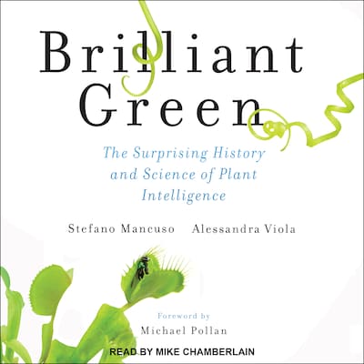 Brilliant Green