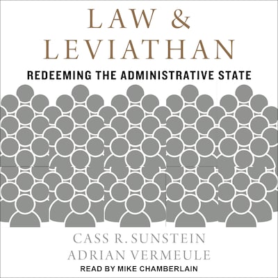 Law and Leviathan