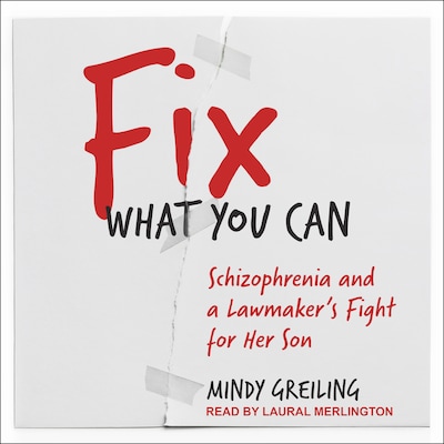 Fix What You Can