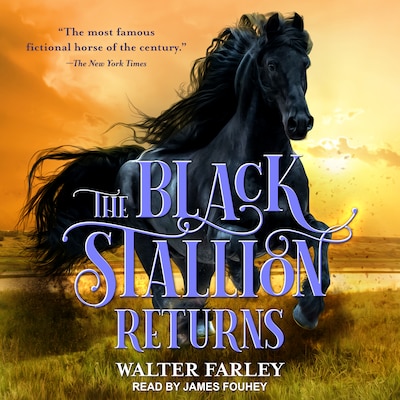 The Black Stallion Returns