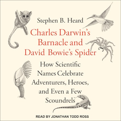 Charles Darwin's Barnacle and David Bowie's Spider