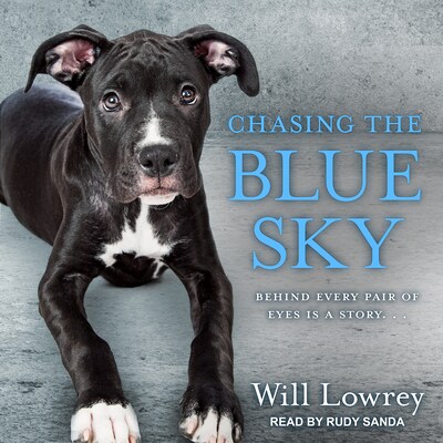 Chasing the Blue Sky