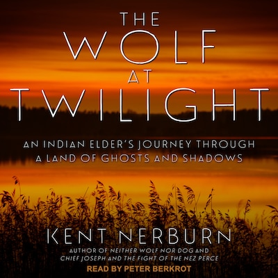 The Wolf at Twilight