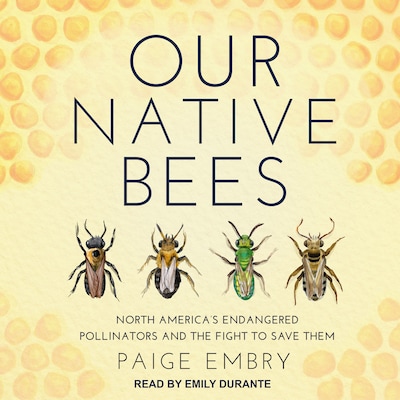 Our Native Bees