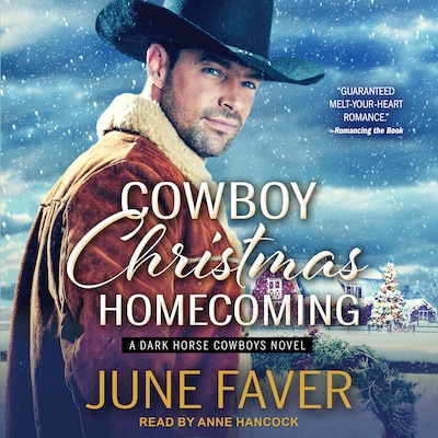 Cowboy Christmas Homecoming