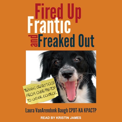 Fired Up, Frantic, and Freaked Out