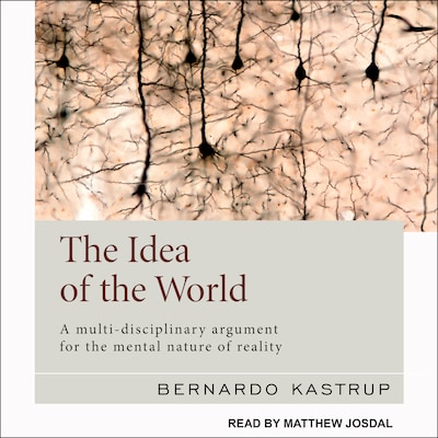 The Idea of the World