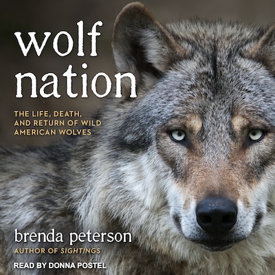 Wolf Nation