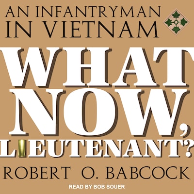 What Now, Lieutenant?