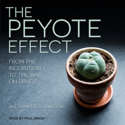 The Peyote Effect