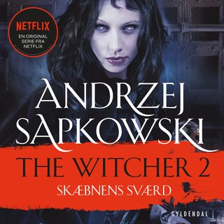 THE WITCHER 2 bookCoverFor