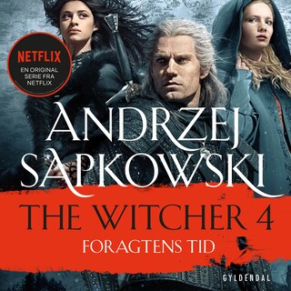 THE WITCHER 4 bookCoverFor
