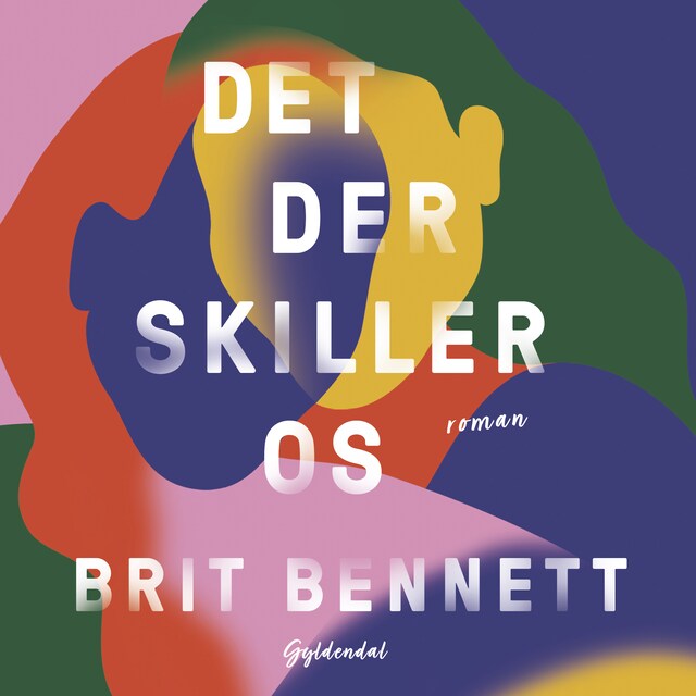 Book cover for Det der skiller os