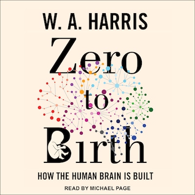 Zero to Birth