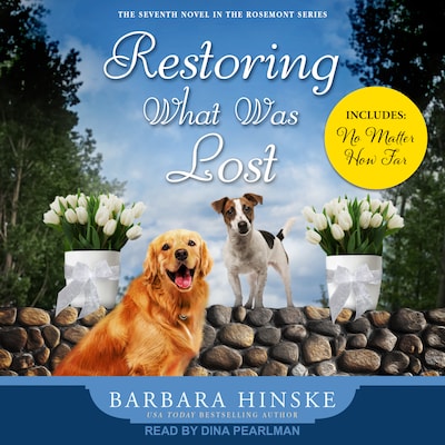 Restoring What Was Lost