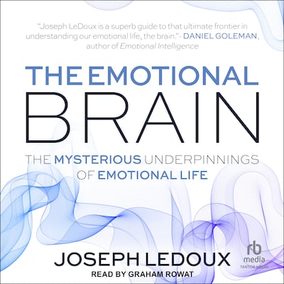 The Emotional Brain