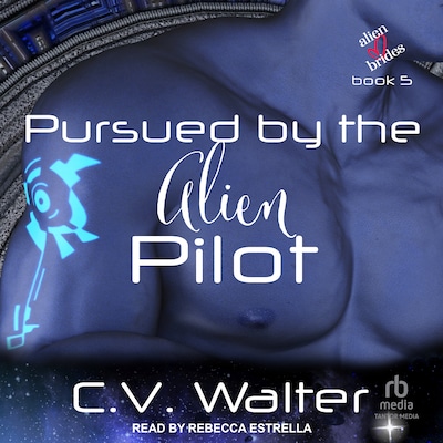 Pursued by the Alien Pilot