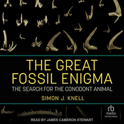 The Great Fossil Enigma