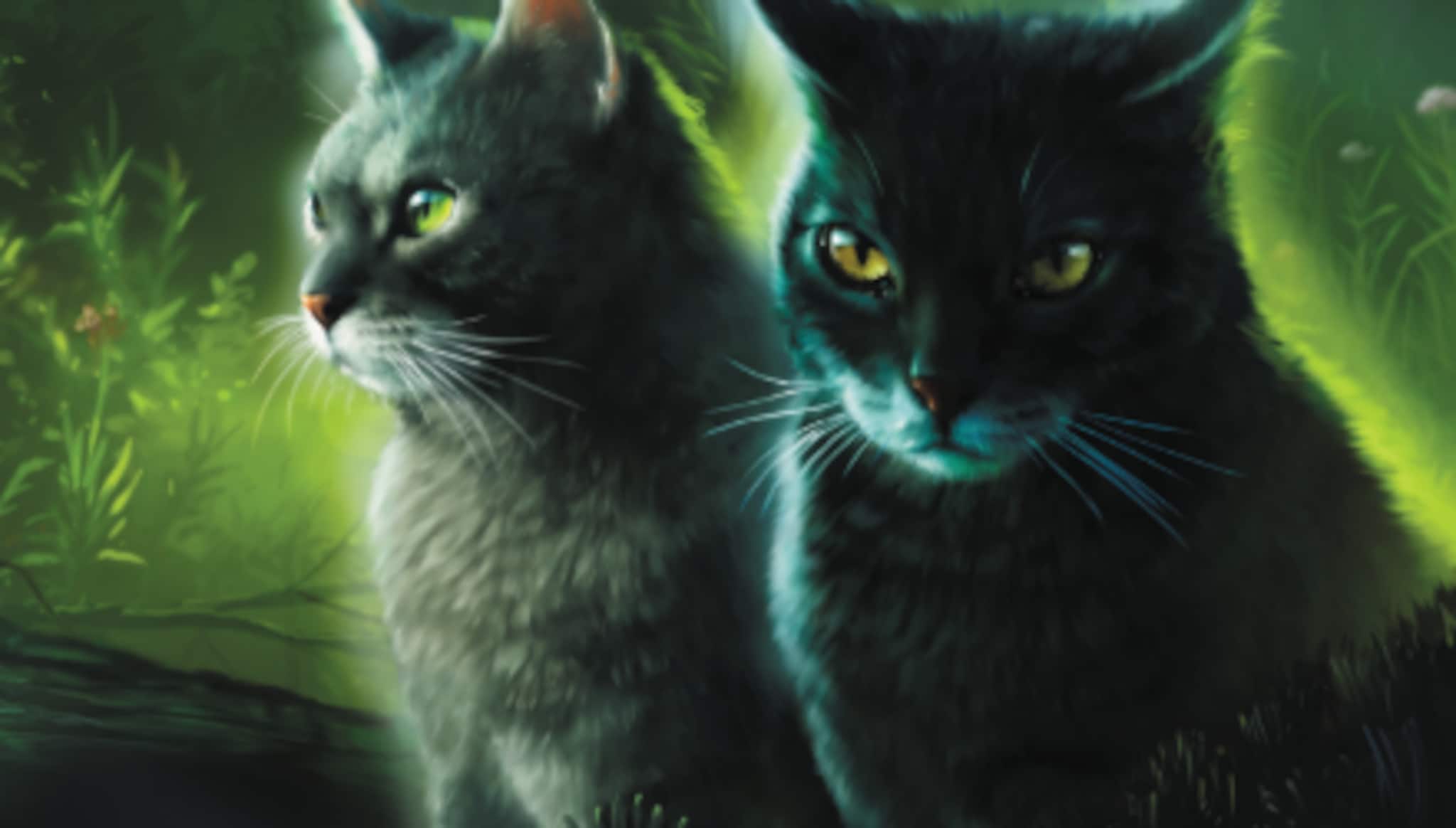 Warriors A Vision of Shadows Sarja